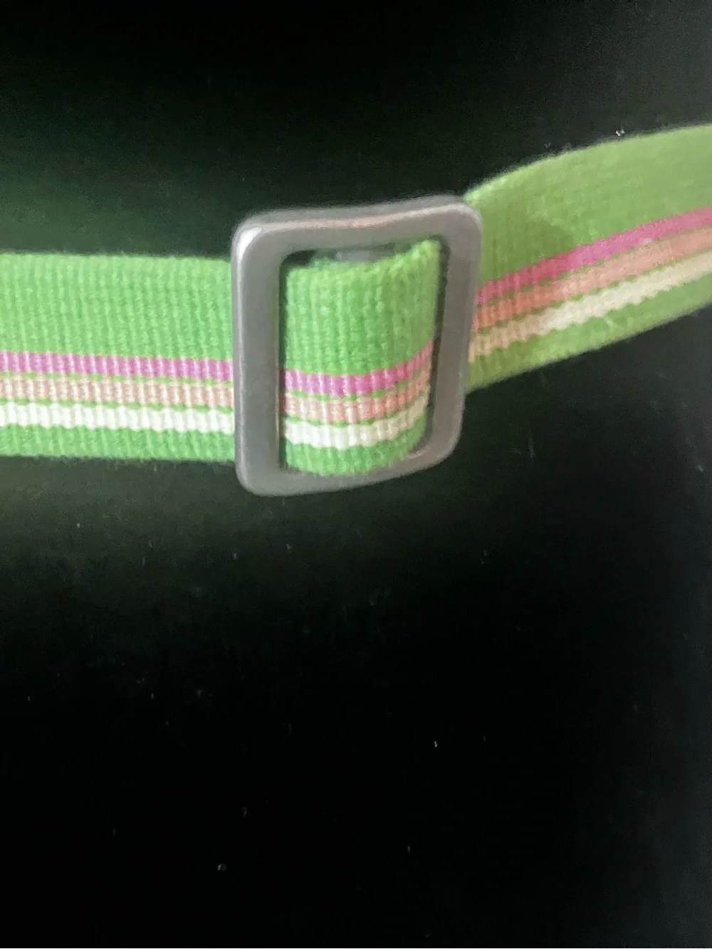 J Crew green and pink striped fabric belt metallic D-ring closure - Picture 7 of 9